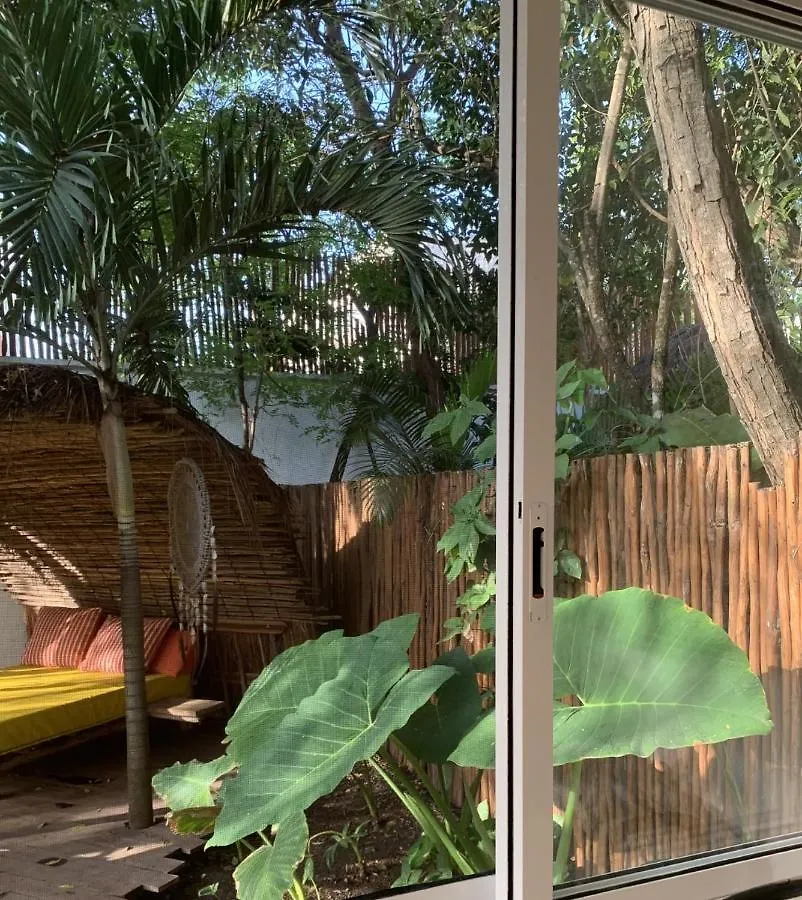 Luxury Private Villas , Private Pool, Private Garden, Jacuzzi, 24Hours Security Tulum Mexique